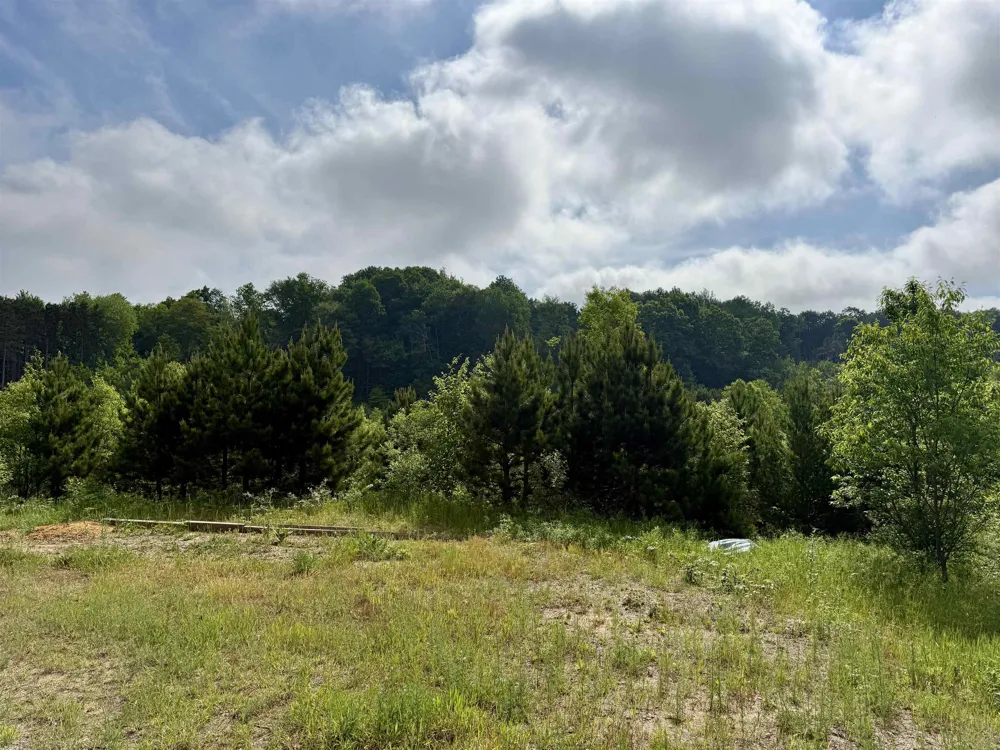 Kasson Road Kasson Township, MI 49664