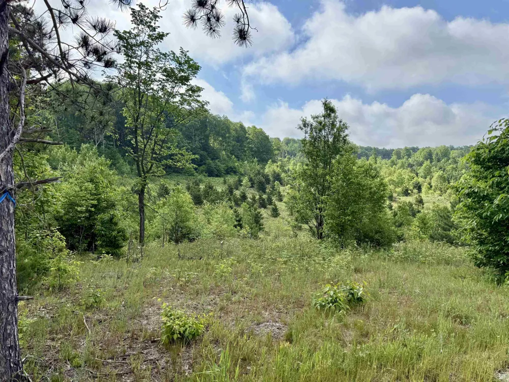 Kasson Road Kasson Township, MI 49664
