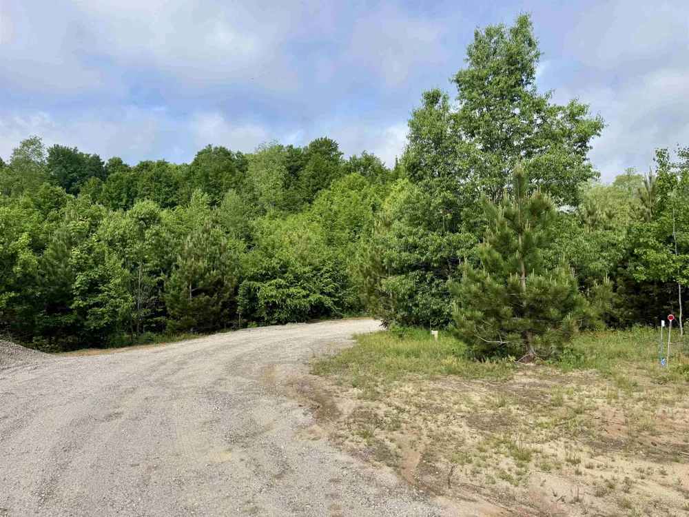 Kasson Road Kasson Township, MI 49664