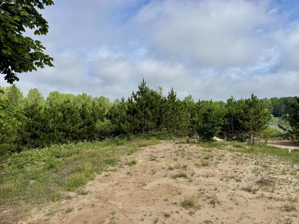 Kasson Road Kasson Township, MI 49664