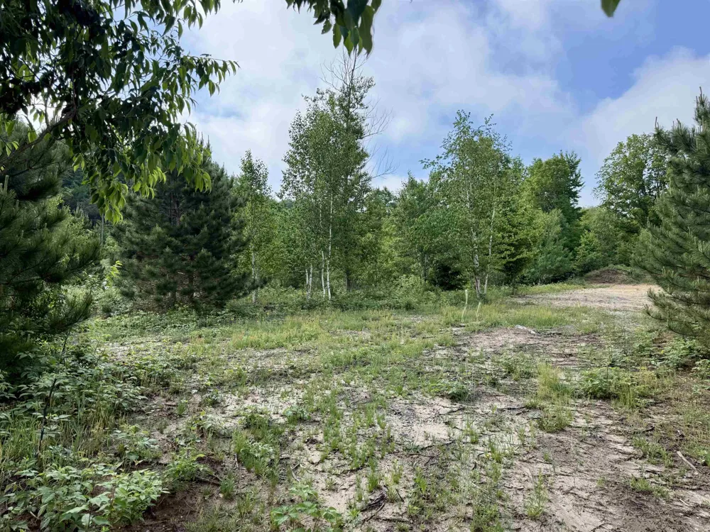 Kasson Road Kasson Township, MI 49664