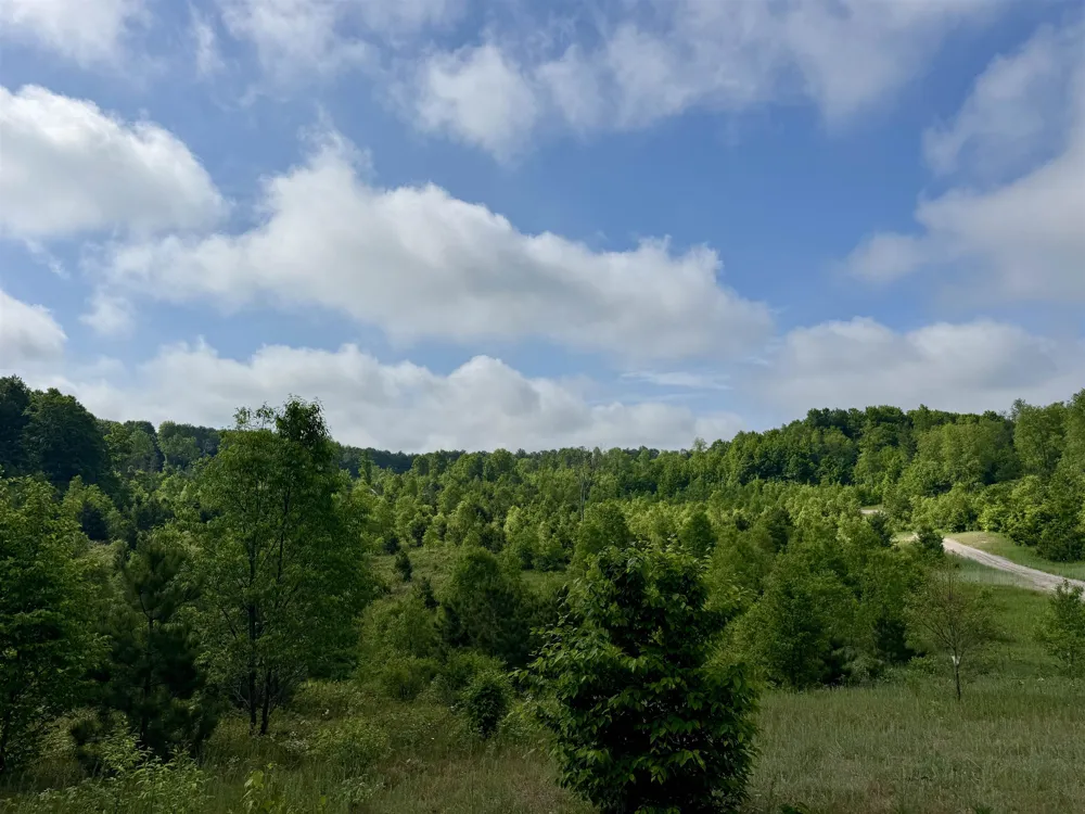 Kasson Road Kasson Township, MI 49664