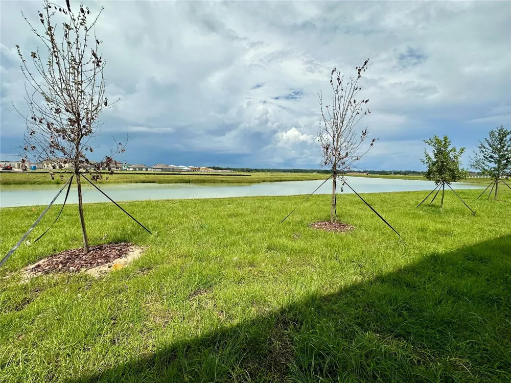11131 RADIANT SHORE LOOP San Antonio, FL 33576