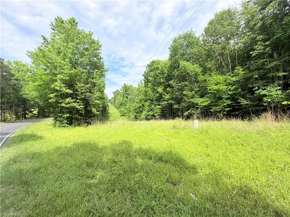 TBD TRACT A Bellview Road Robbins, NC 27325