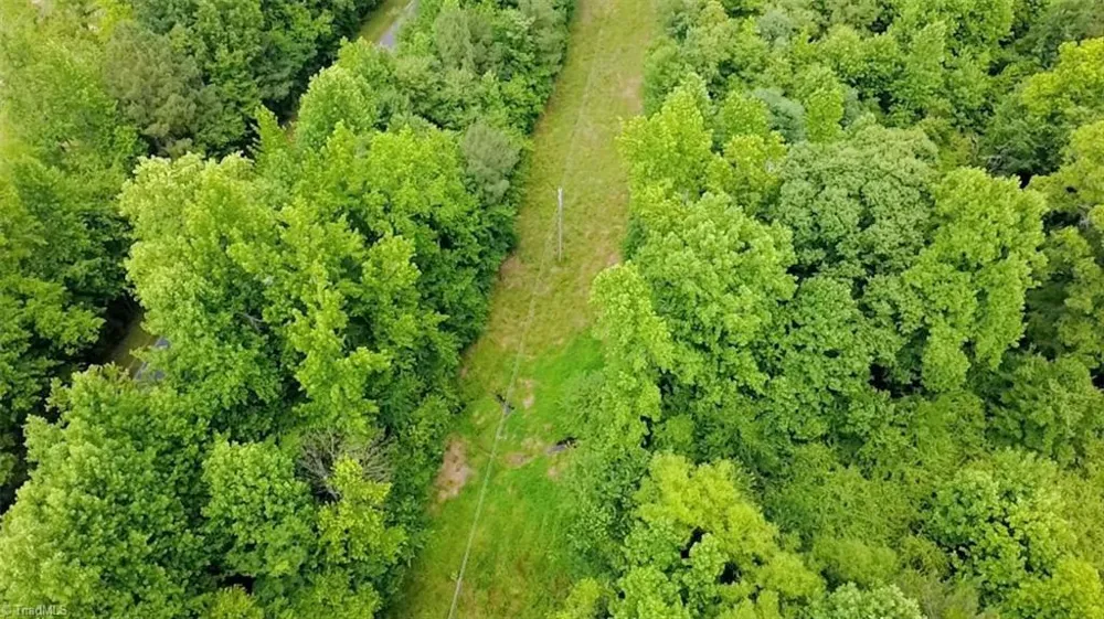 TBD TRACT A Bellview Road Robbins, NC 27325