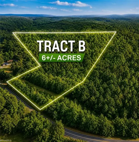 TBD TRACT B Bellview Road
