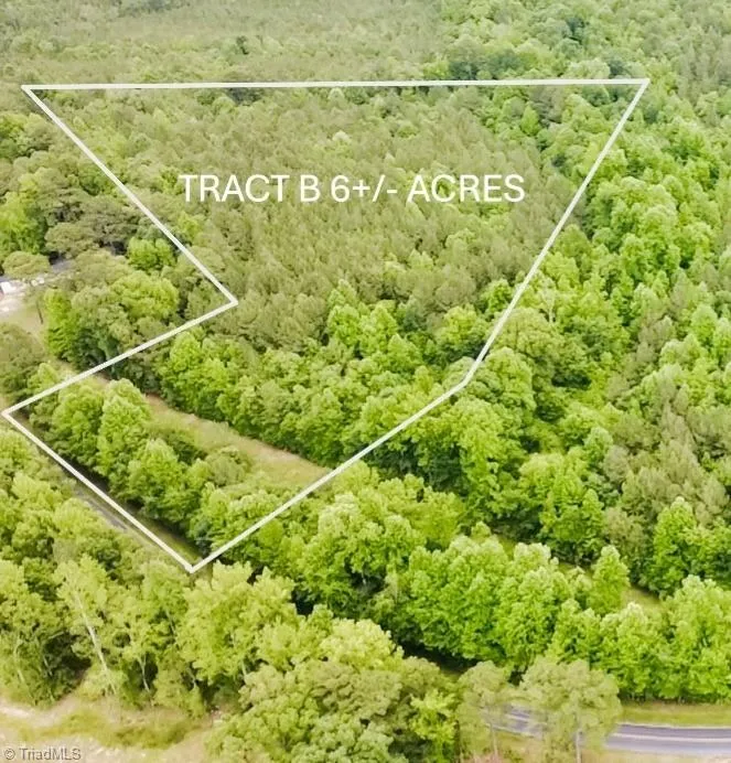 TBD TRACT B Bellview Road Robbins, NC 27325