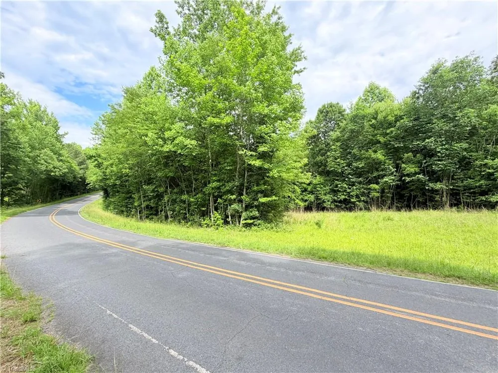 TBD TRACT B Bellview Road Robbins, NC 27325