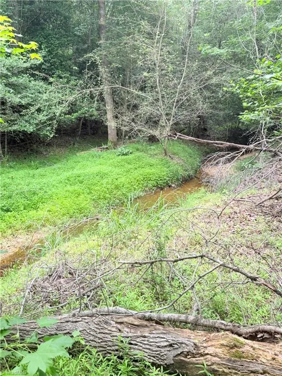 TBD TRACT B Bellview Road Robbins, NC 27325