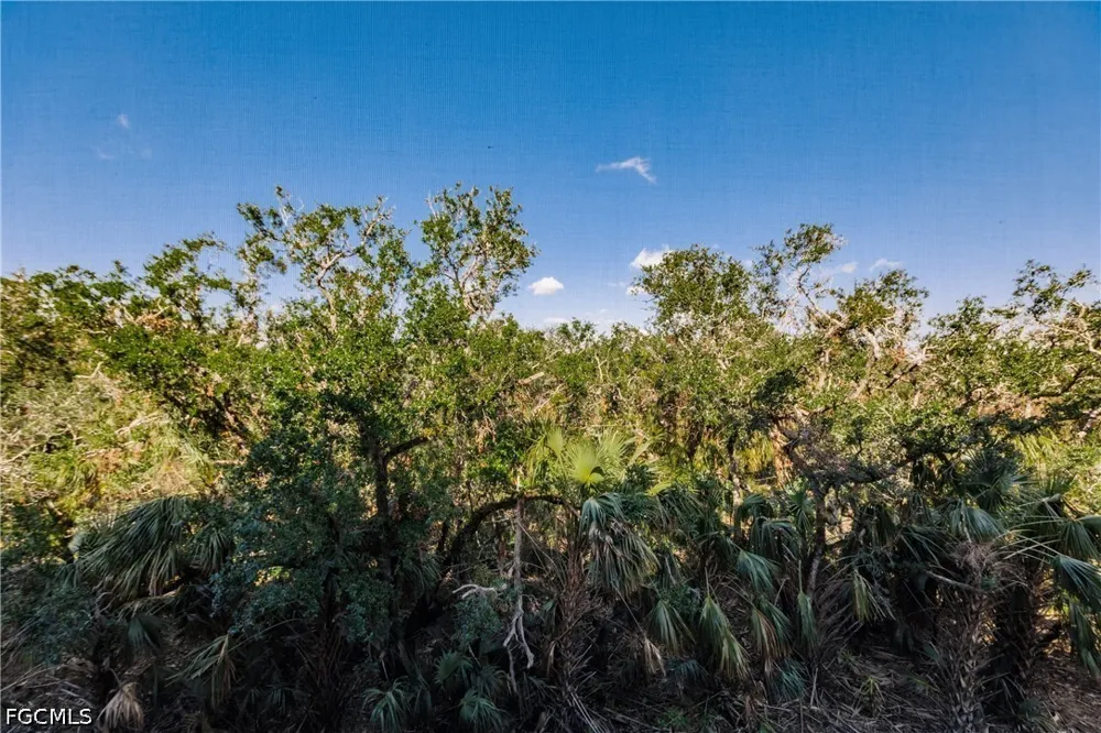 Whiskey Preserve Circle #438 Fort Myers, FL 33919