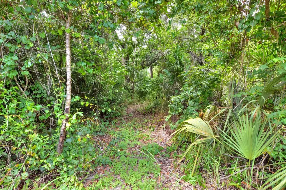 600 THOMPSON ROAD Lithia, FL 33547