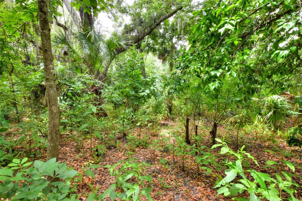 600 THOMPSON ROAD Lithia, FL 33547