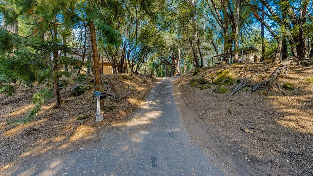 17895 Towhee Lane Twain Harte, CA 95383