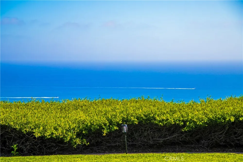 23 Pelican Vista Dr Newport Coast, CA 92657