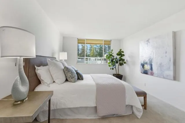 234 Elm Street #309 San Mateo, CA 94401