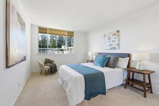 234 Elm Street #309 San Mateo, CA 94401