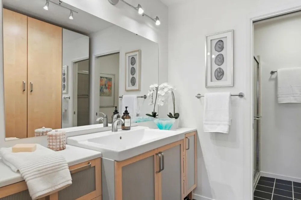 234 Elm Street #309 San Mateo, CA 94401