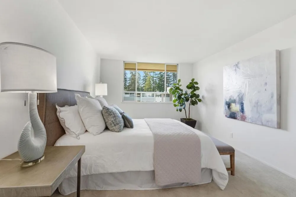234 Elm Street #309 San Mateo, CA 94401