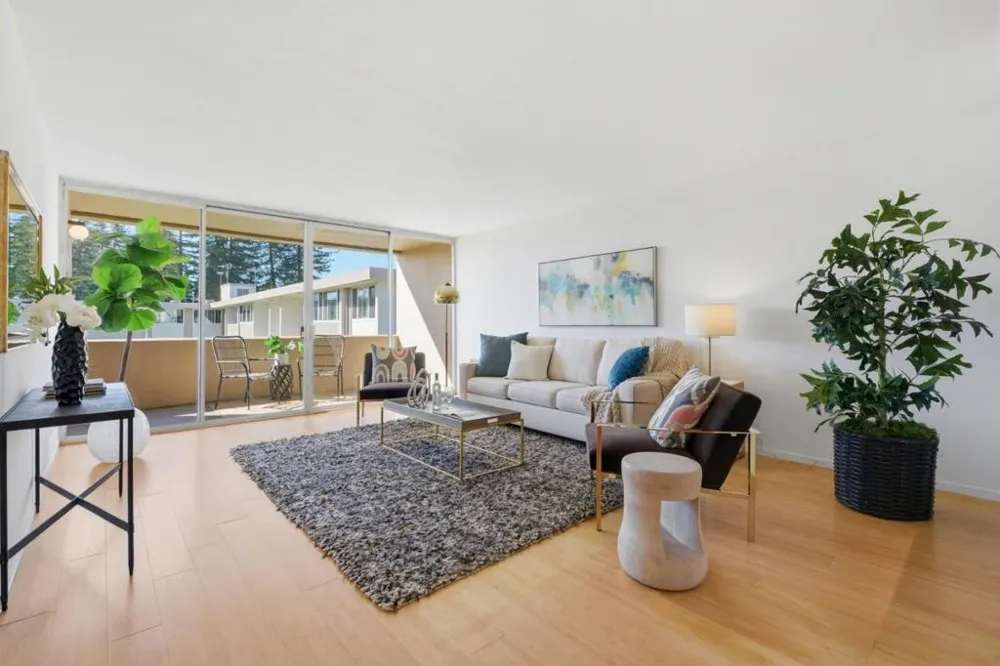 234 Elm Street #309 San Mateo, CA 94401