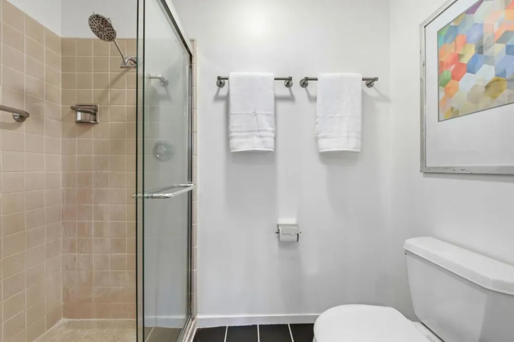 234 Elm Street #309 San Mateo, CA 94401