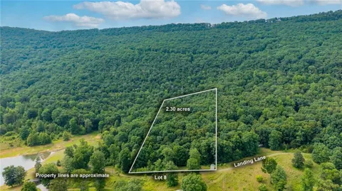 00 Newsome Gap Road