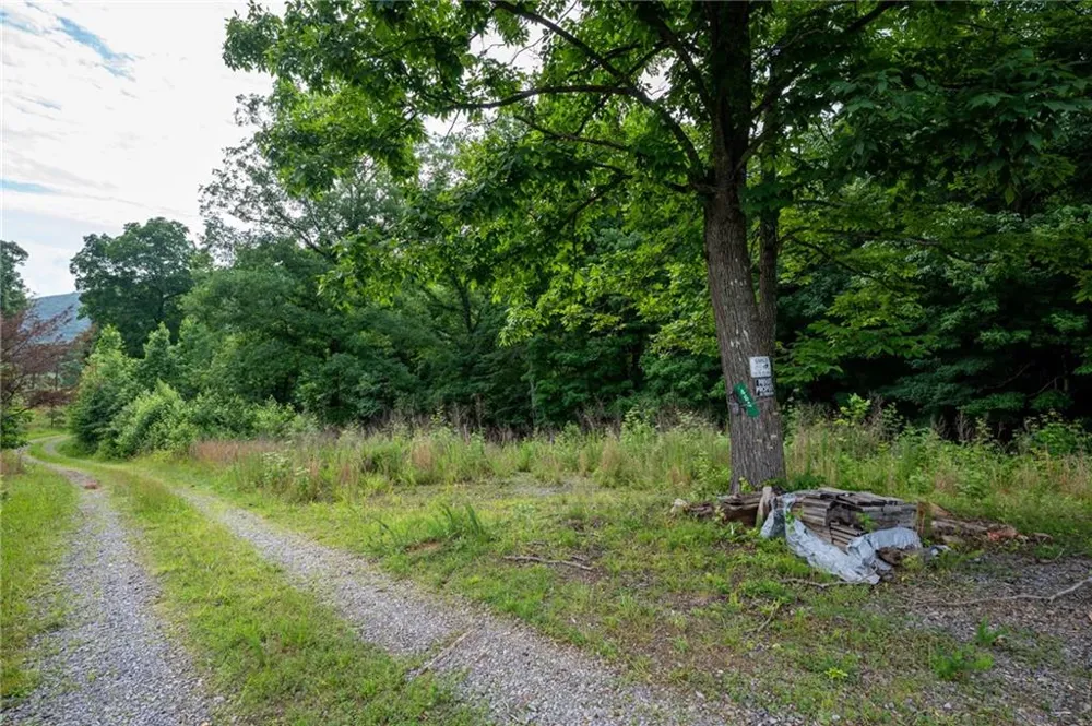 00 Newsome Gap Road Rising Fawn, GA 30738