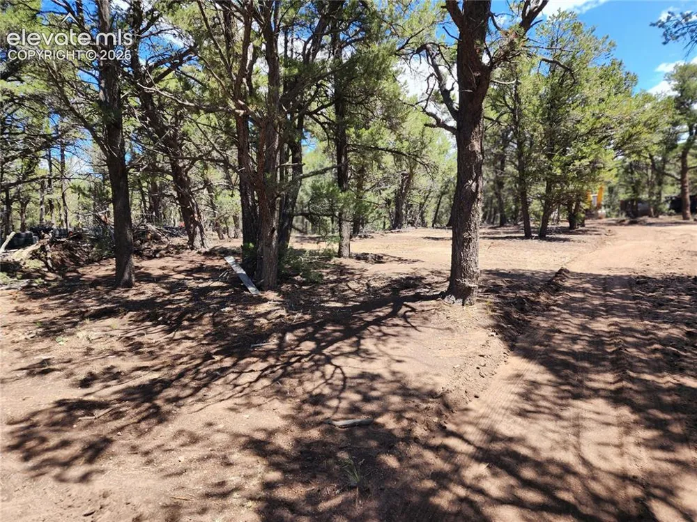 000 8TH TRAIL Cotopaxi, CO 81223