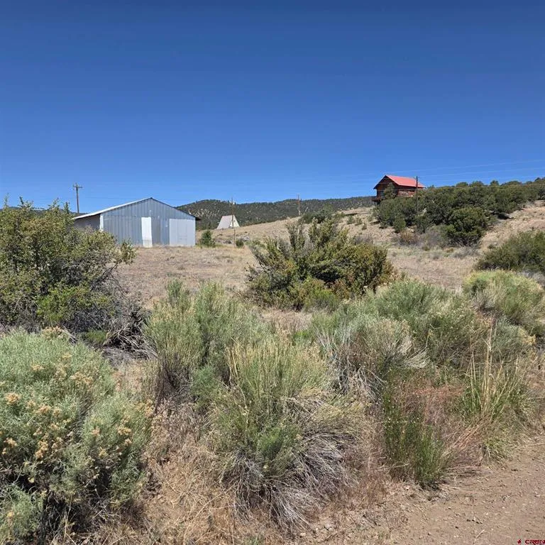 121 Neal Road South Fork, CO 81154