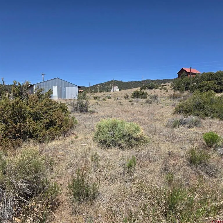 121 Neal Road South Fork, CO 81154