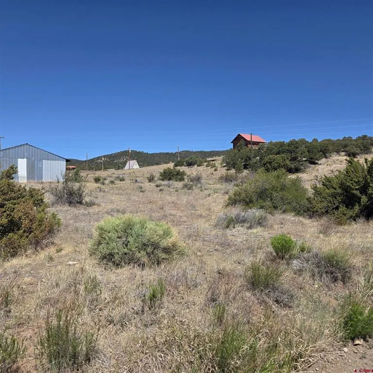 121 Neal Road South Fork, CO 81154