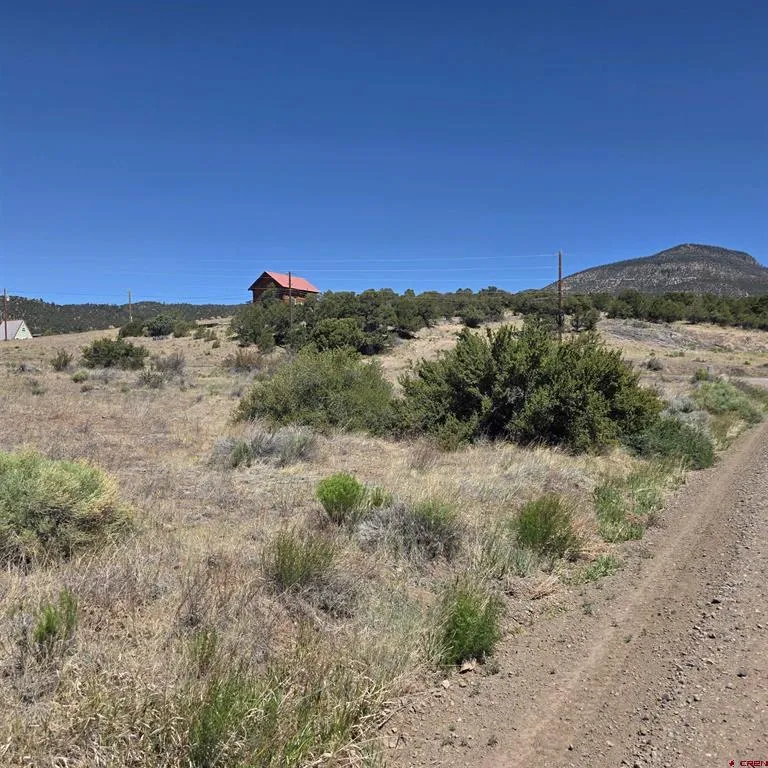 121 Neal Road South Fork, CO 81154