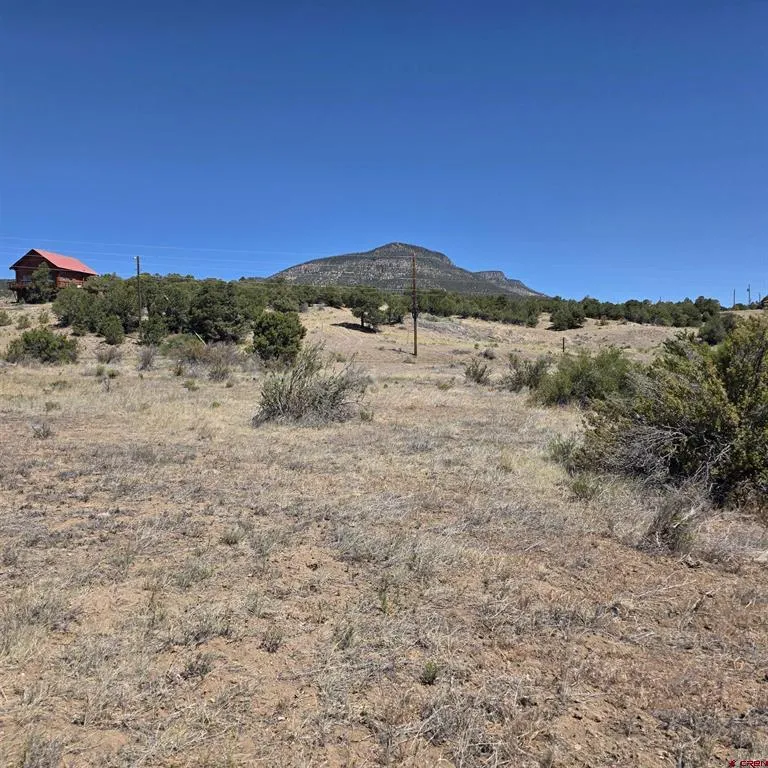 121 Neal Road South Fork, CO 81154
