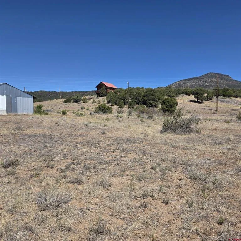 121 Neal Road South Fork, CO 81154