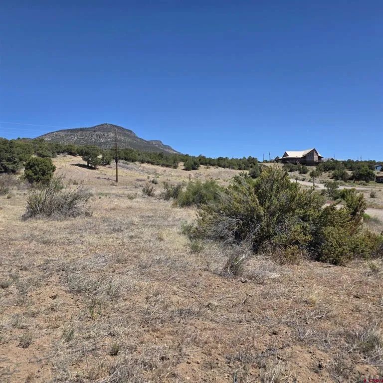 121 Neal Road South Fork, CO 81154