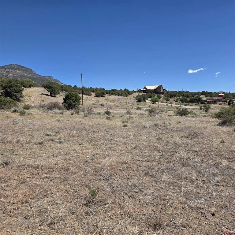 121 Neal Road South Fork, CO 81154