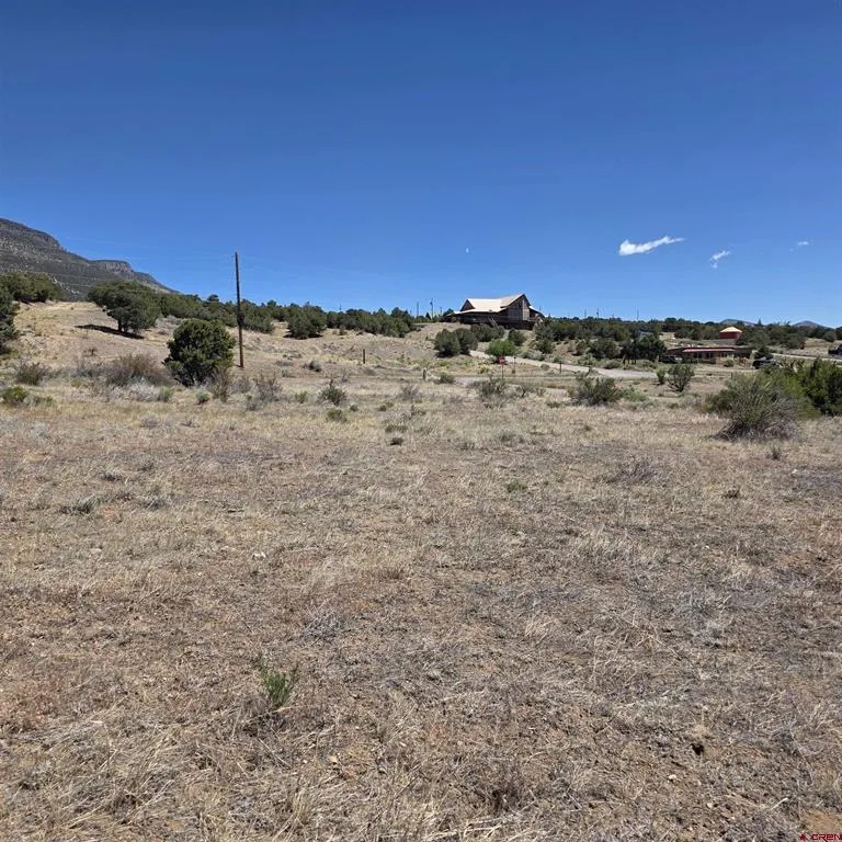 121 Neal Road South Fork, CO 81154