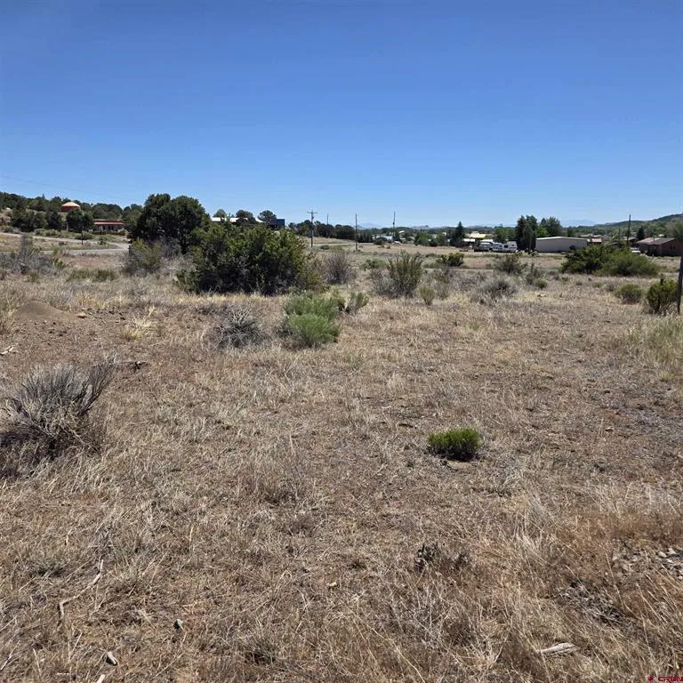 121 Neal Road South Fork, CO 81154