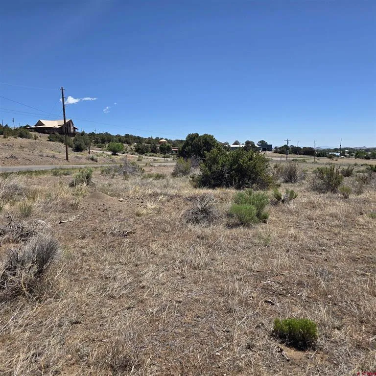 121 Neal Road South Fork, CO 81154
