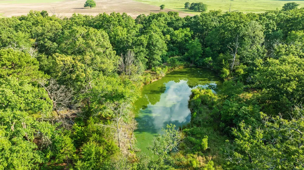5200 County Road 45080 Arthur City, TX 75411