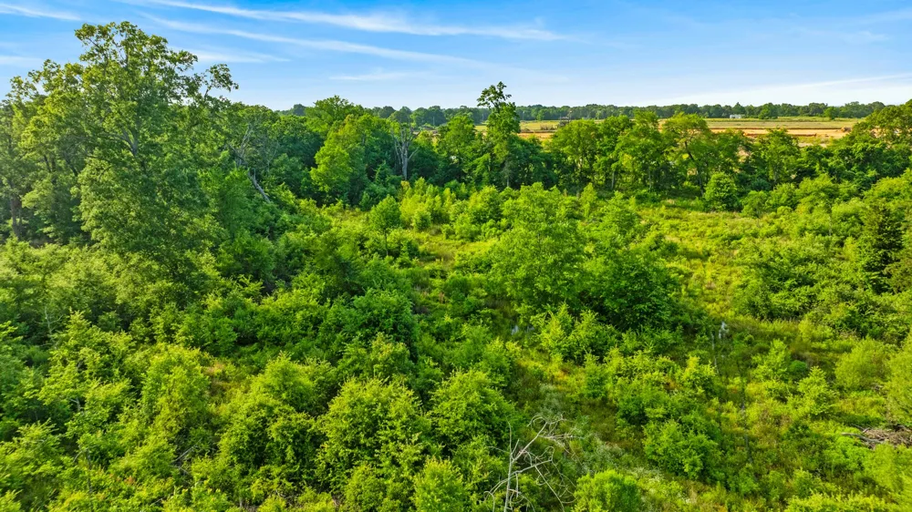 5200 County Road 45080 Arthur City, TX 75411