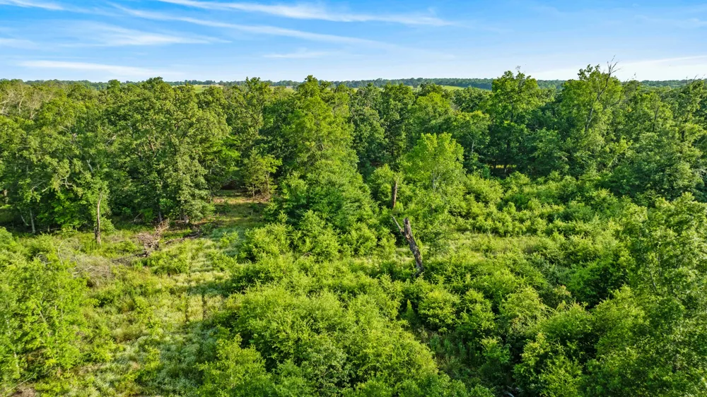 5200 County Road 45080 Arthur City, TX 75411