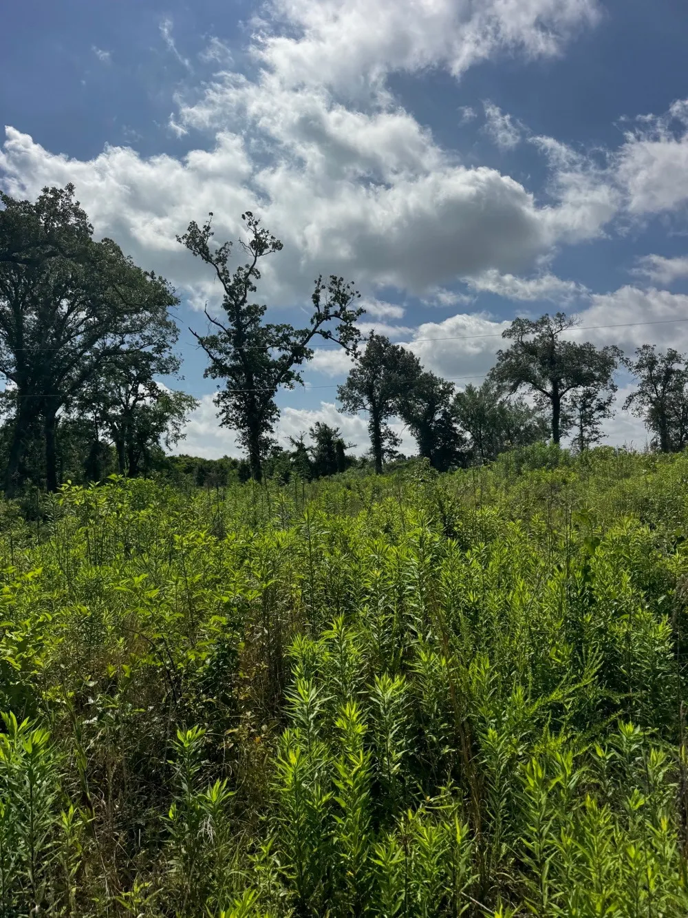 5200 County Road 45080 Arthur City, TX 75411
