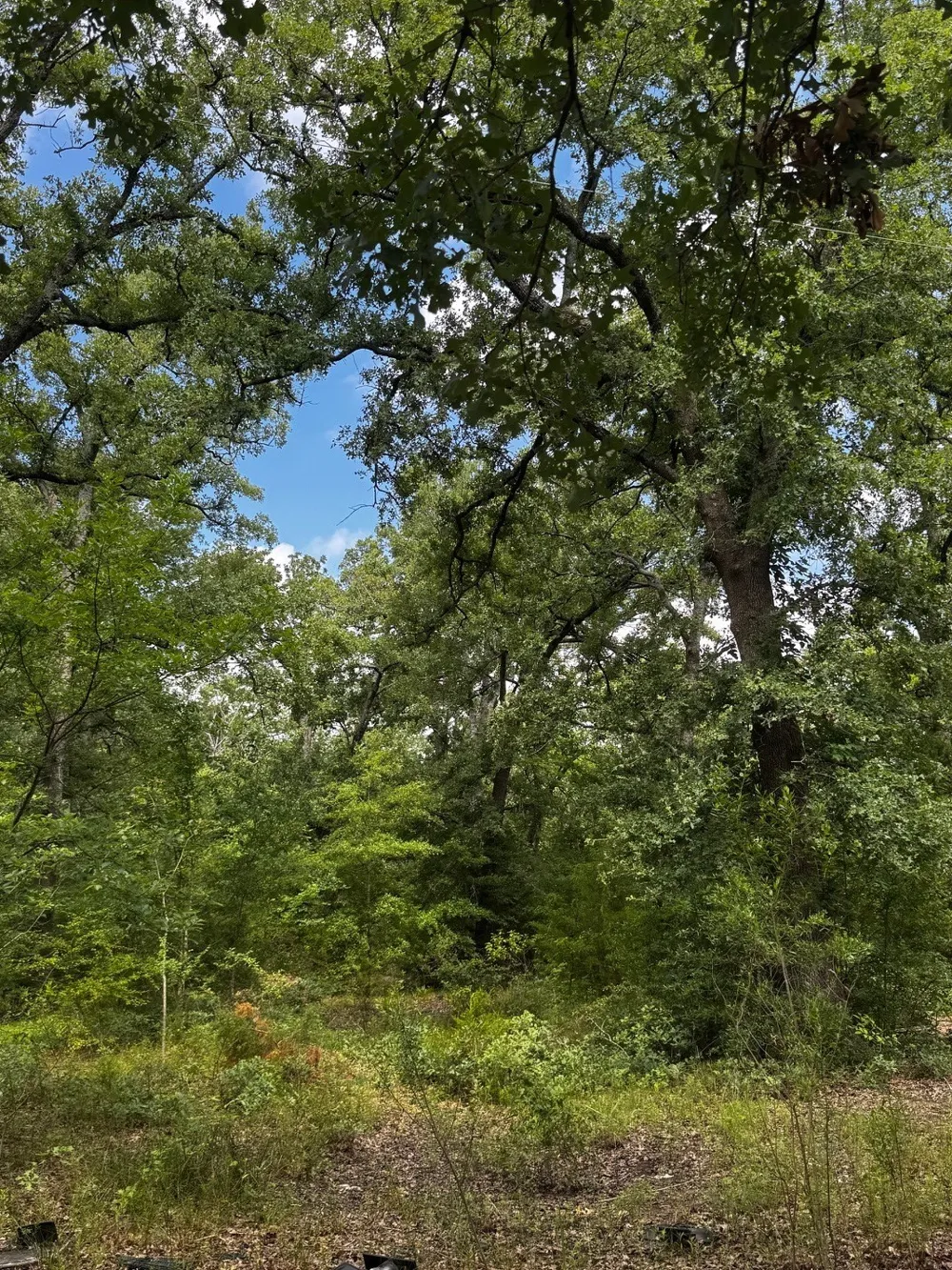 5200 County Road 45080 Arthur City, TX 75411
