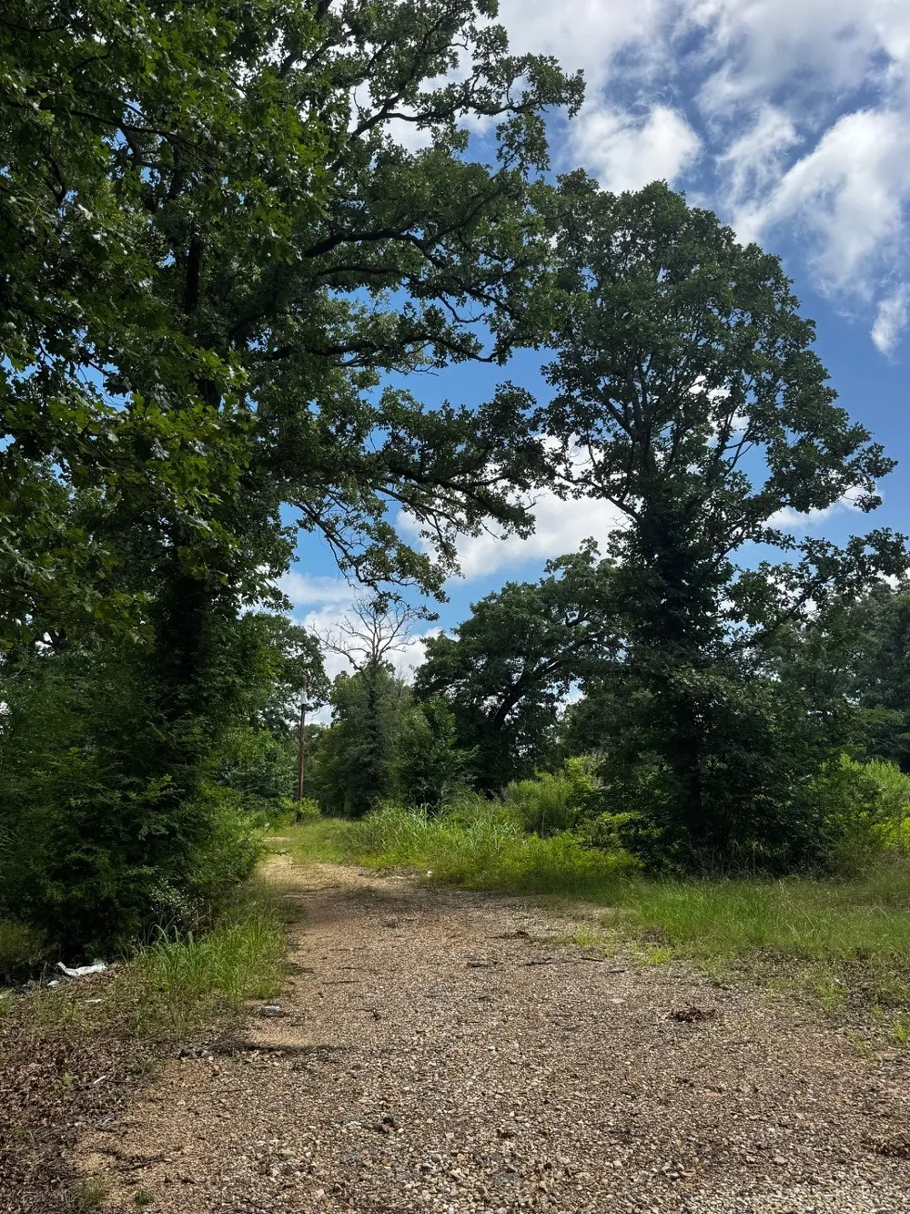 5200 County Road 45080 Arthur City, TX 75411