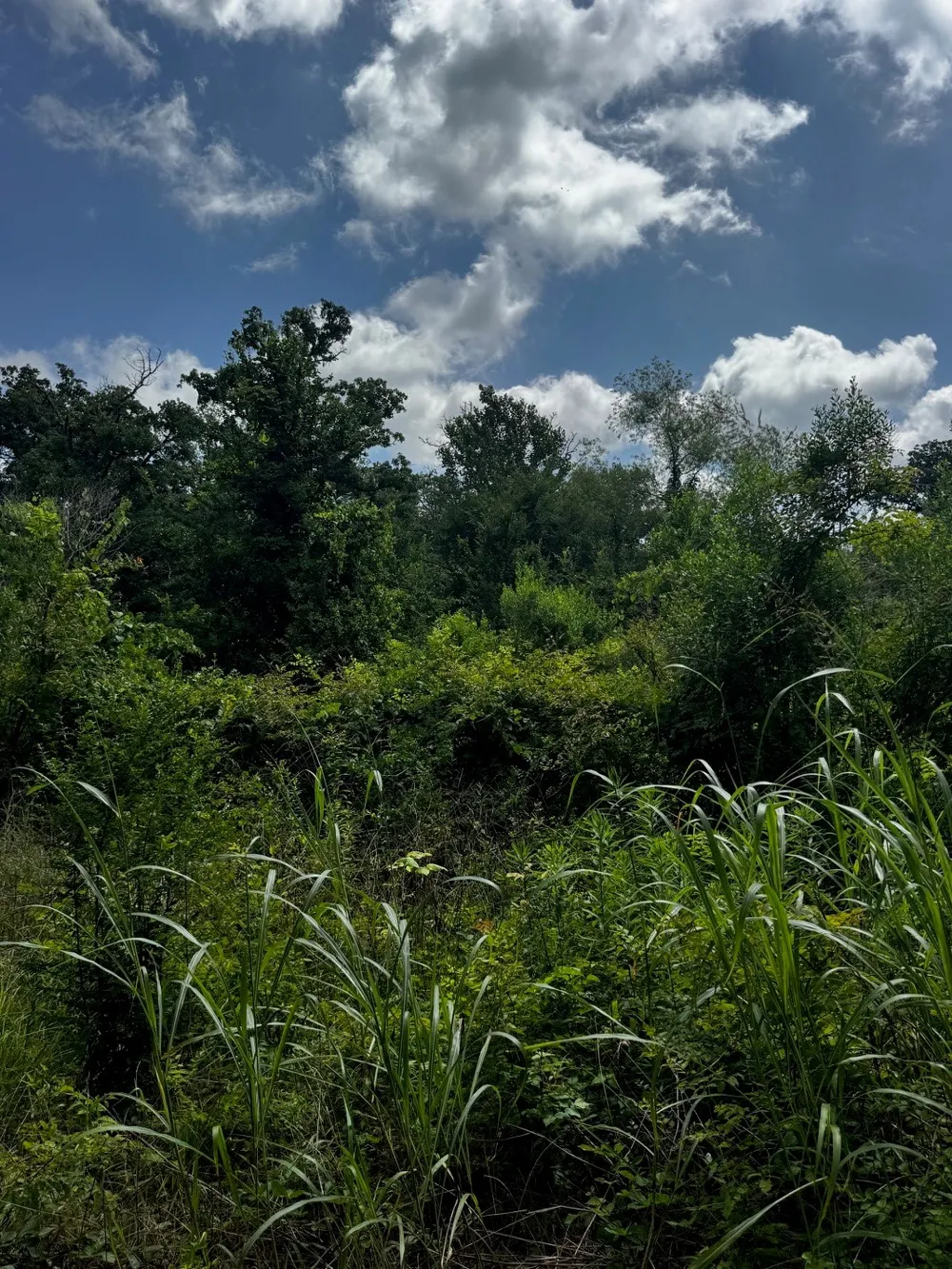 5200 County Road 45080 Arthur City, TX 75411