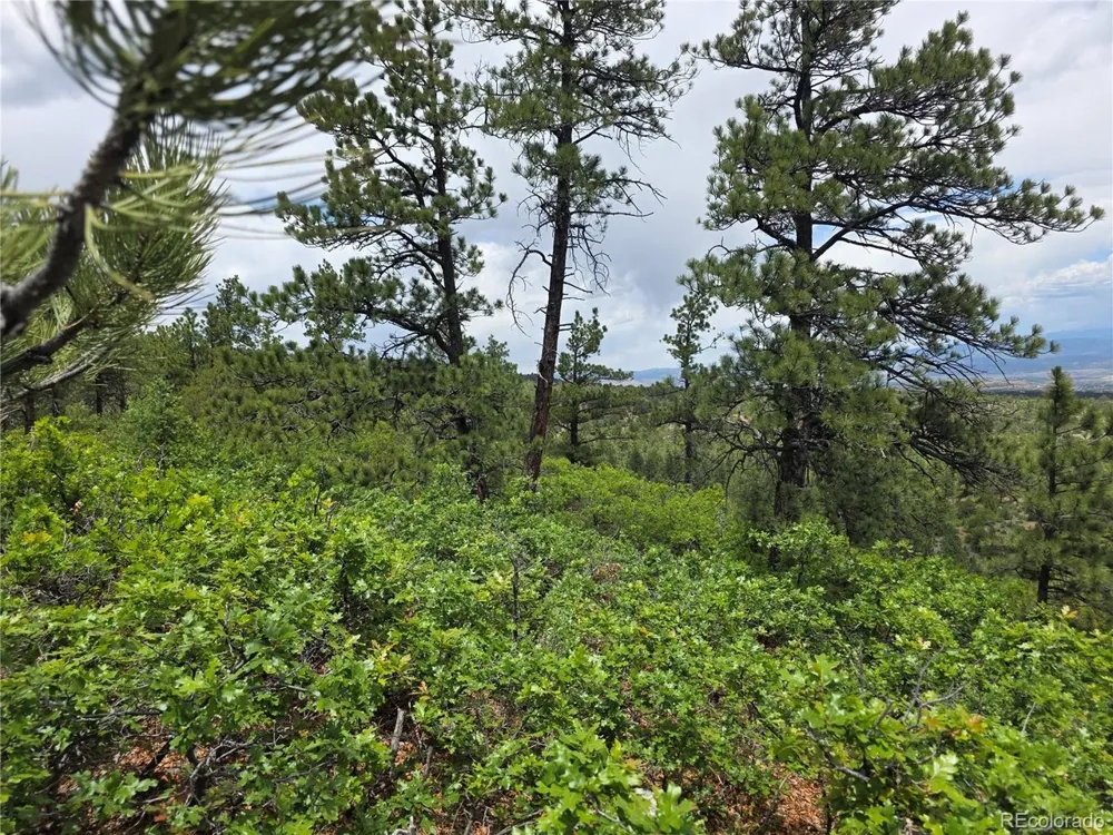 0 County Road 15 Florence, CO 81226