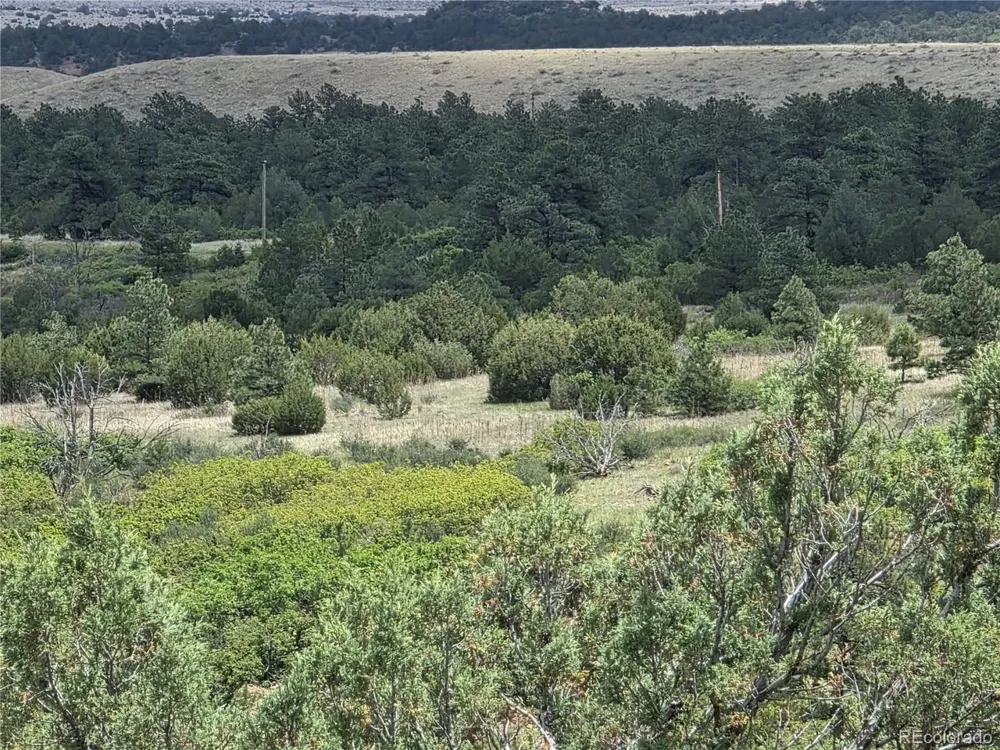 0 County Road 15 Florence, CO 81226