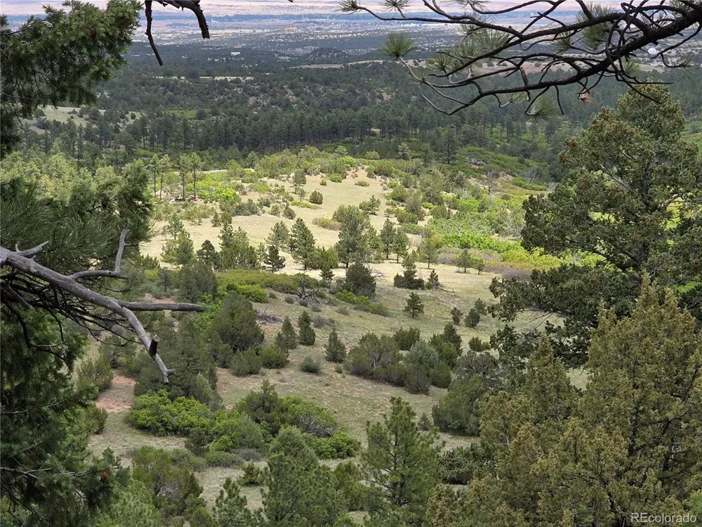 0 County Road 15 Florence, CO 81226
