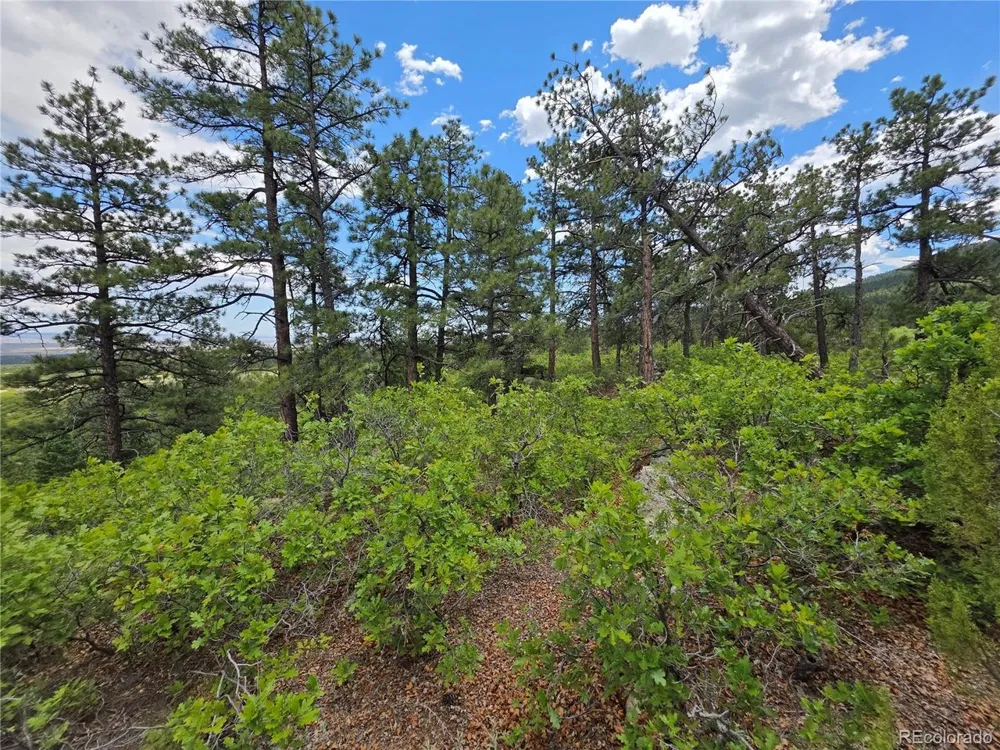 0 County Road 15 Florence, CO 81226