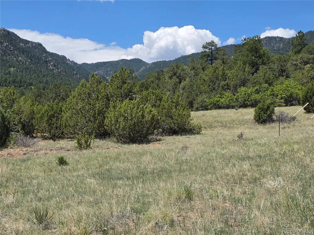 0 County Road 15 Florence, CO 81226